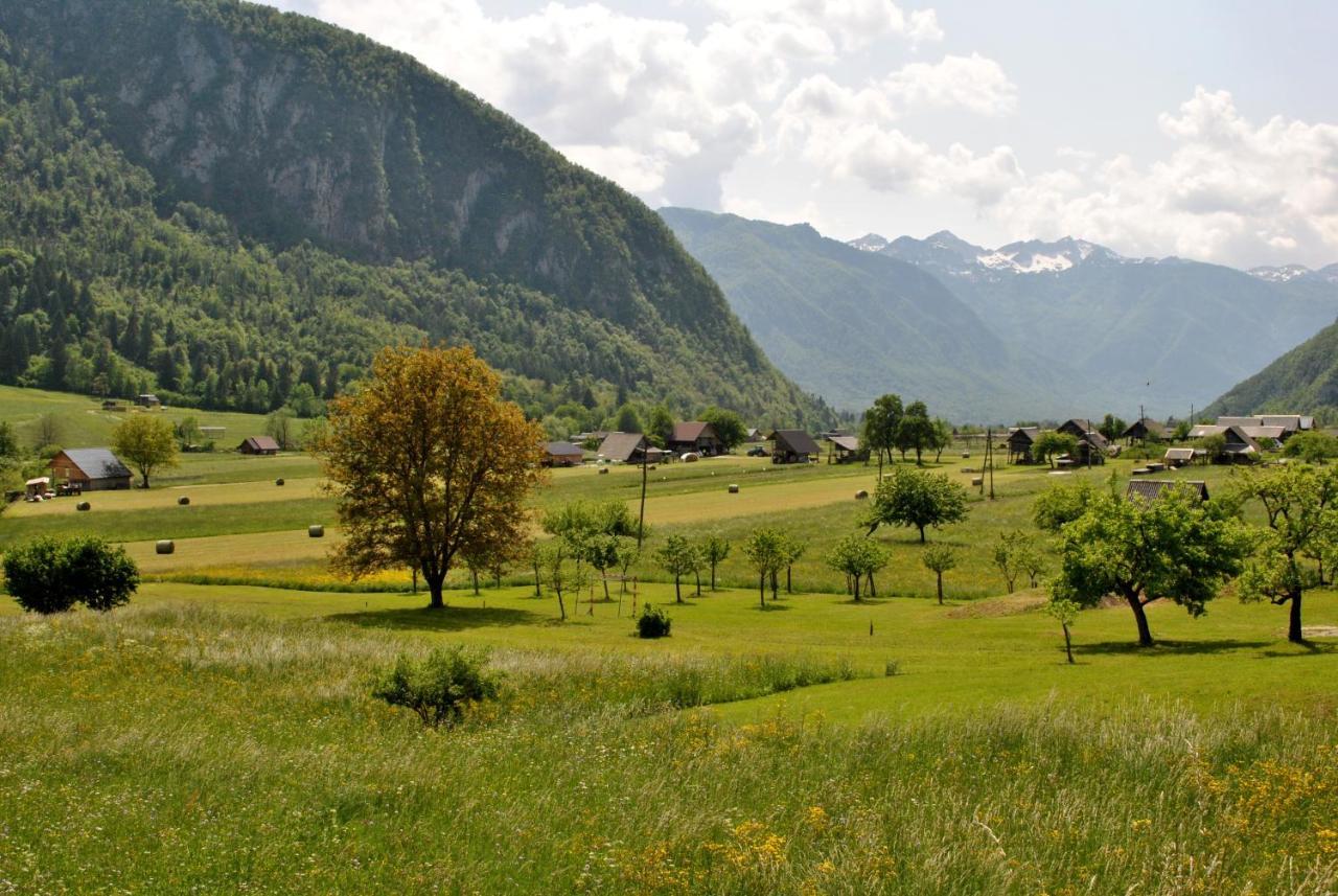 Riverside Village Apartment Bohinj ภายนอก รูปภาพ